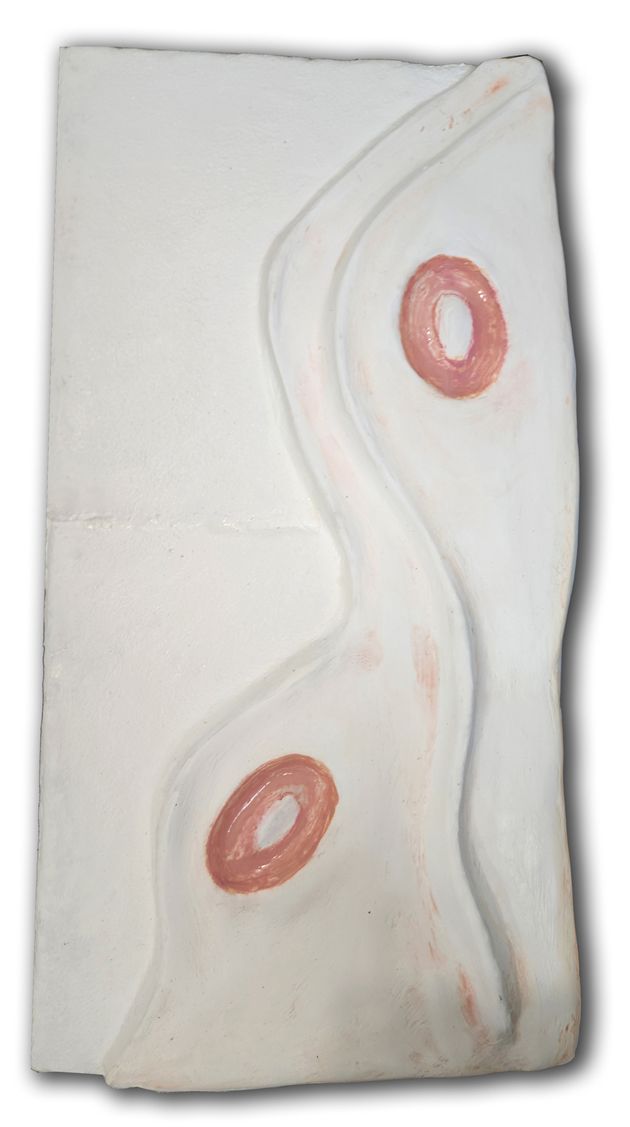 Topografia INtima 1