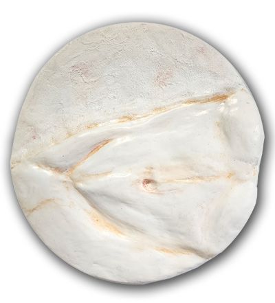 Topografia Intima 3